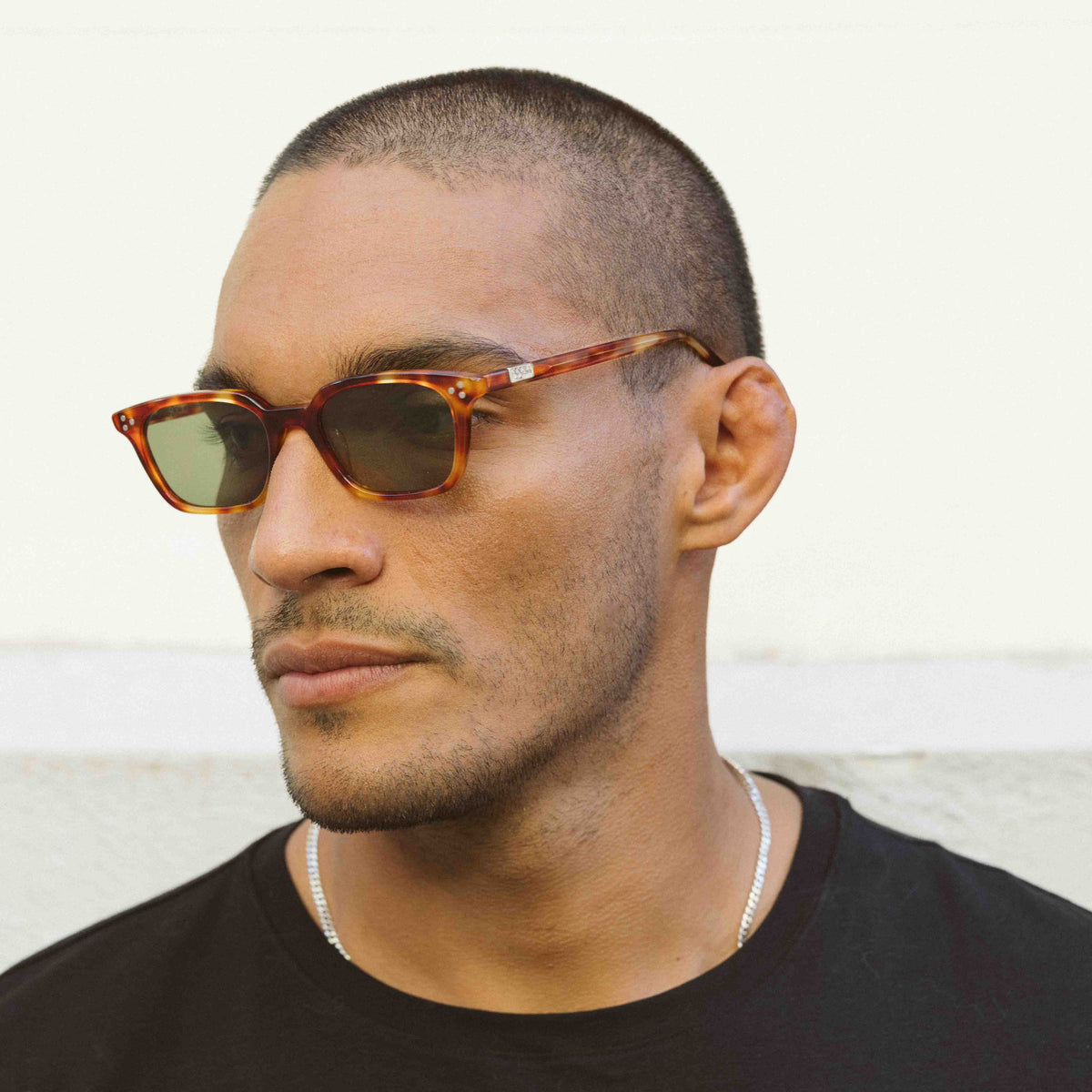 DEAN  TORTOISE - GREEN